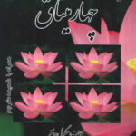چهار میثاق